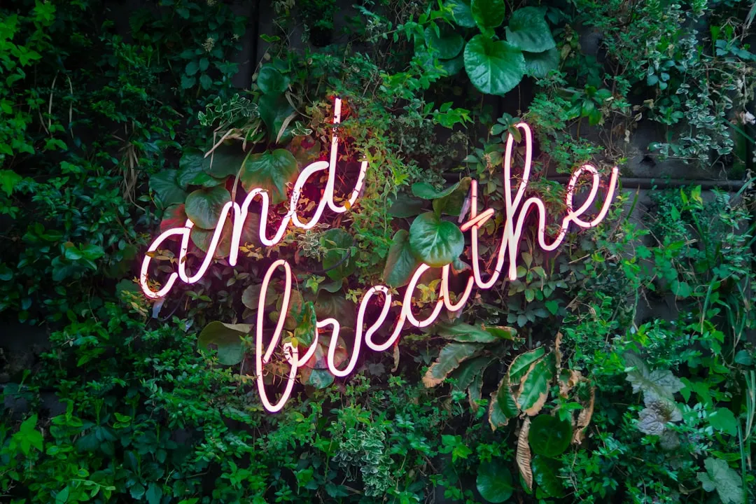 2. Master a Breathing Technique Before You Board (Image Credits: Unsplash)
