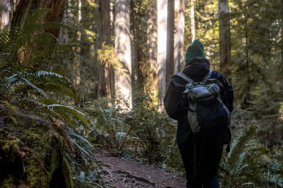 A Birder's and Hiker's Paradise (Image Credits: Unsplash)