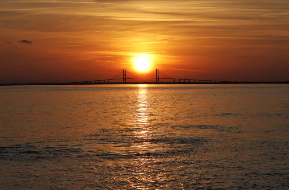 The Golden Isles: Named the Number One U.S. Islands in 2026 (Image Credits: Pexels)