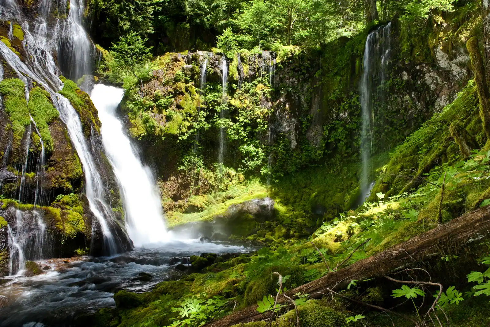When to Go and What the Seasons Look Like (By Matthew P. Del Buono, CC BY-SA 3.0)