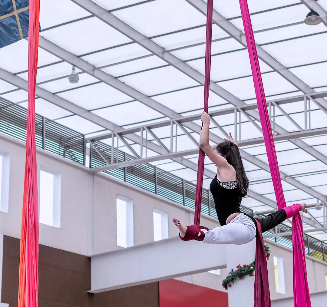 Cirque-Style Aerial Shows: Close to Center, Not the Front Row (Image Credits: Unsplash)