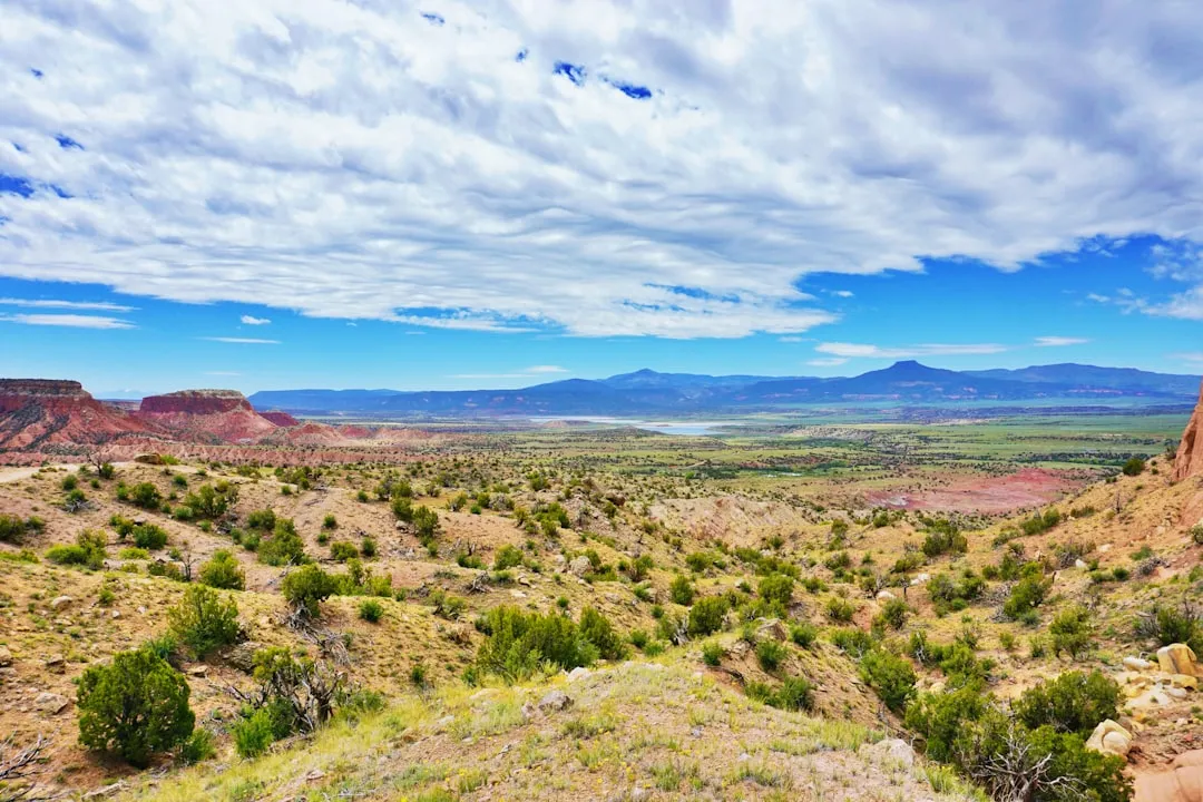 The Turquoise Trail Studio Tour (Image Credits: Unsplash)