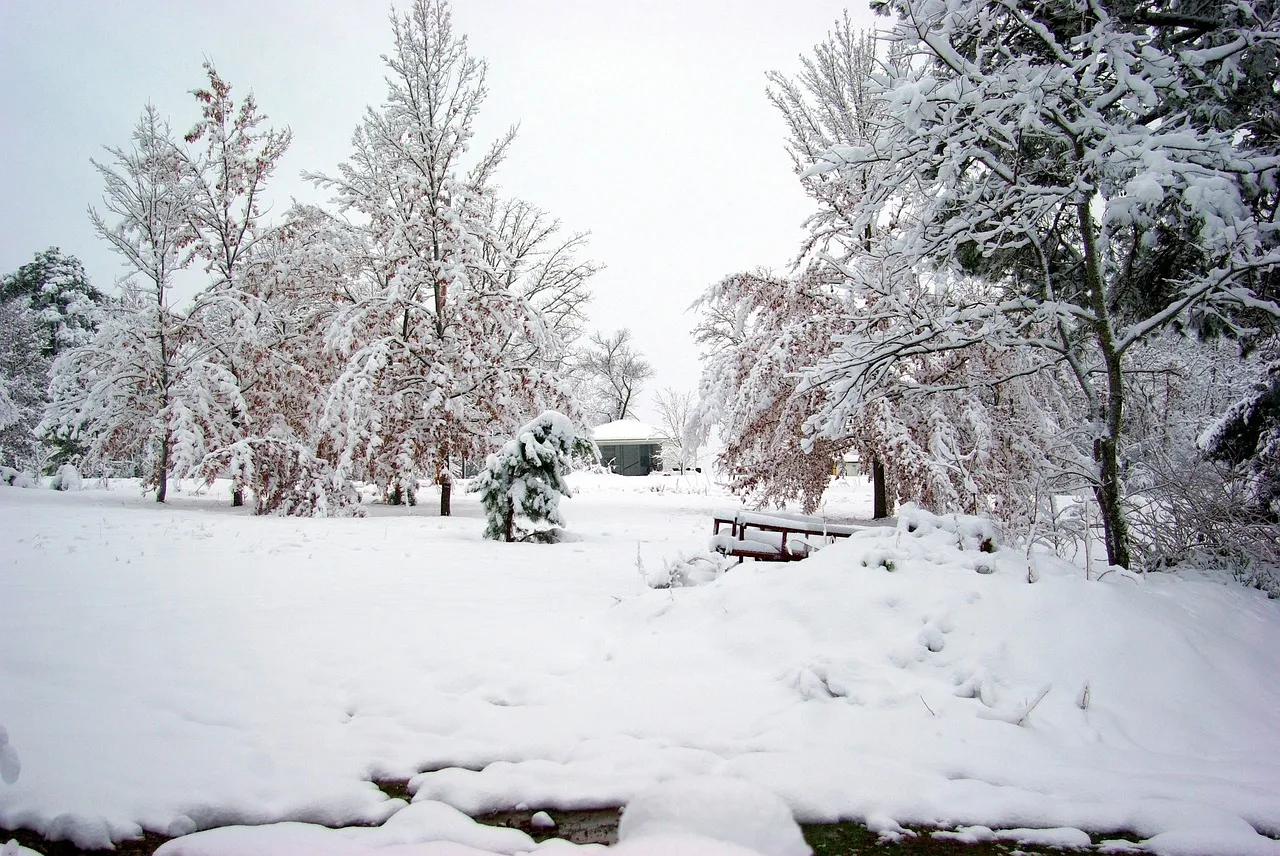 Mild Winters That Don't Demand Much (Image Credits: Pixabay)