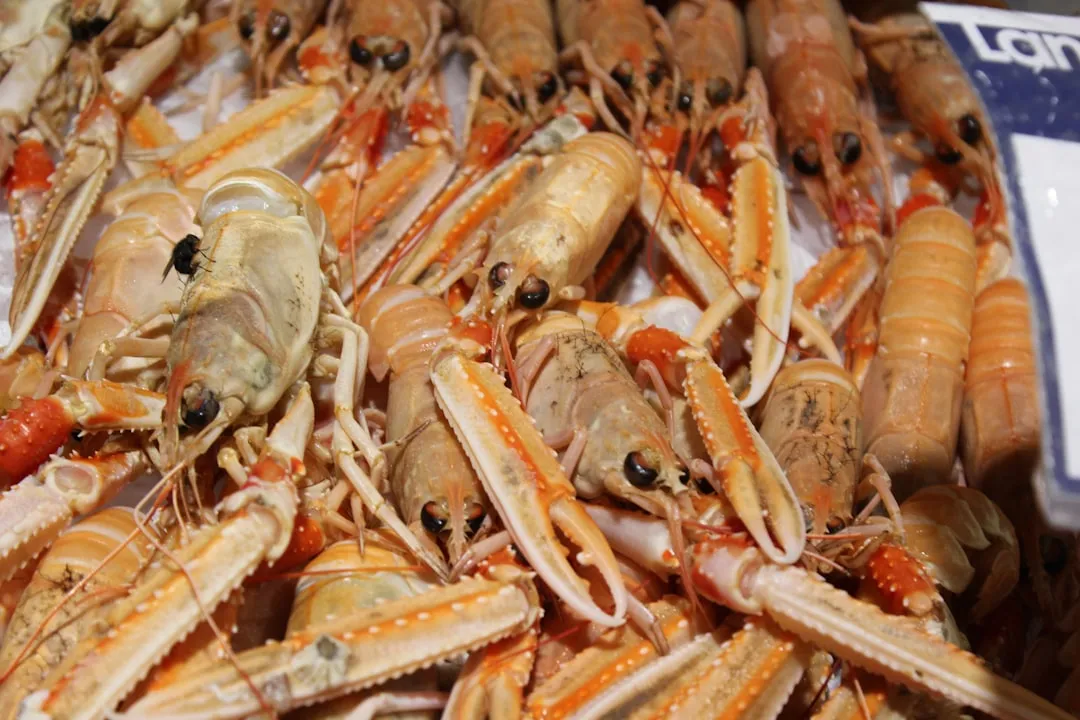 Little Harbor Lobster Company: A Century of Seafood (Image Credits: Unsplash)