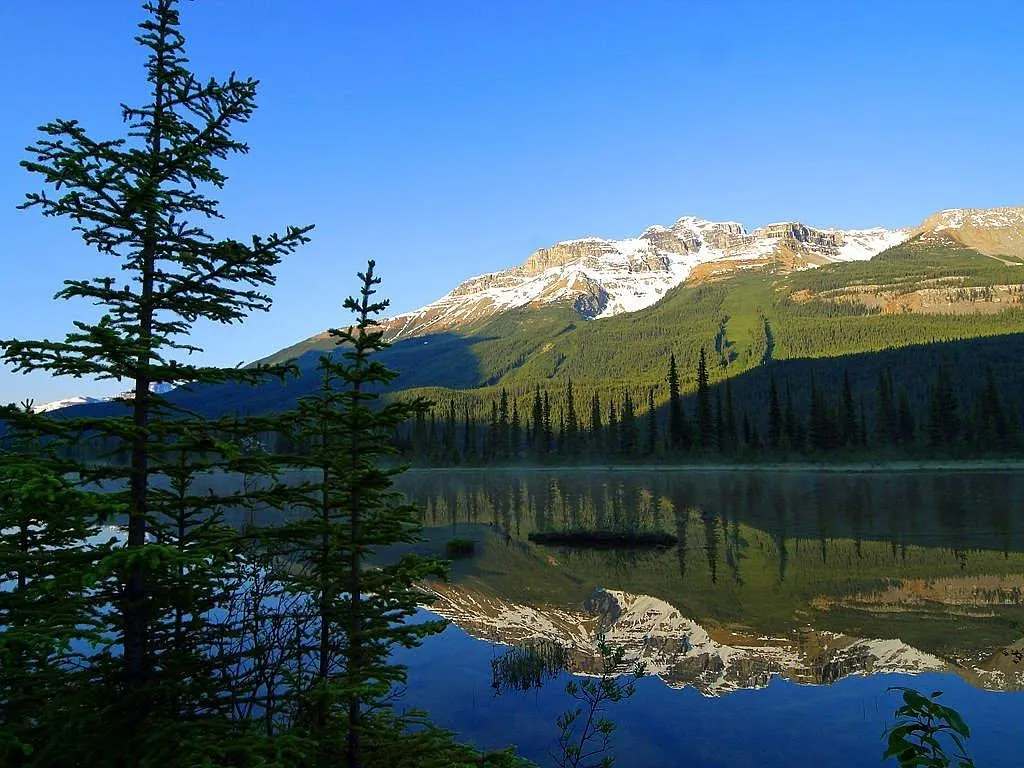 The Takeaway: Silence Is Also a Park Resource (Image Credits: Pixabay)