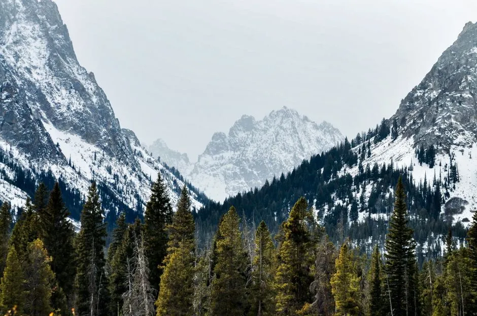 The Parks That Barely Register on the Map Even in Summer (Image Credits: Pexels)