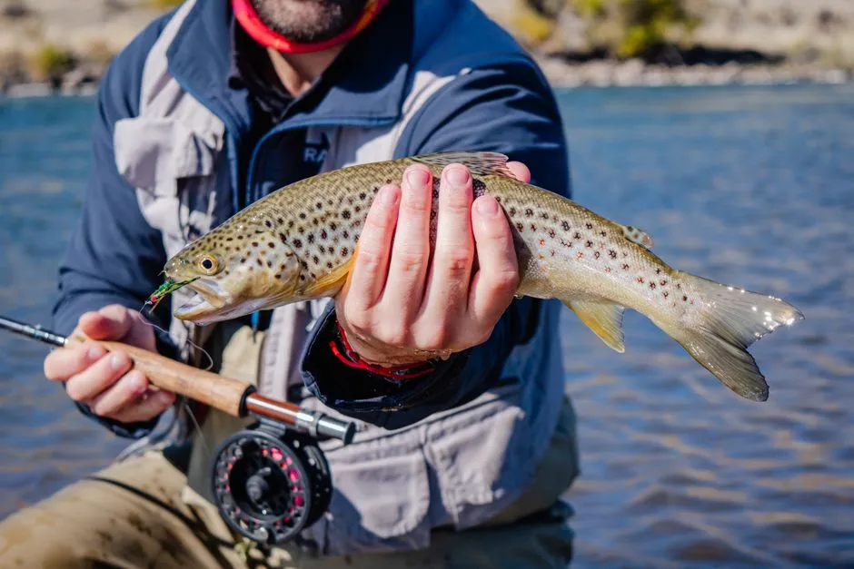 A Rich Ecosystem Beneath the Surface (Image Credits: Pexels)