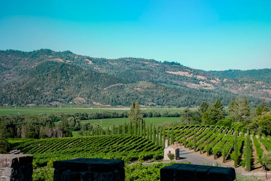 3. Sierra Foothills, California: Gold Rush Country With Ancient Vines (Image Credits: Pexels)