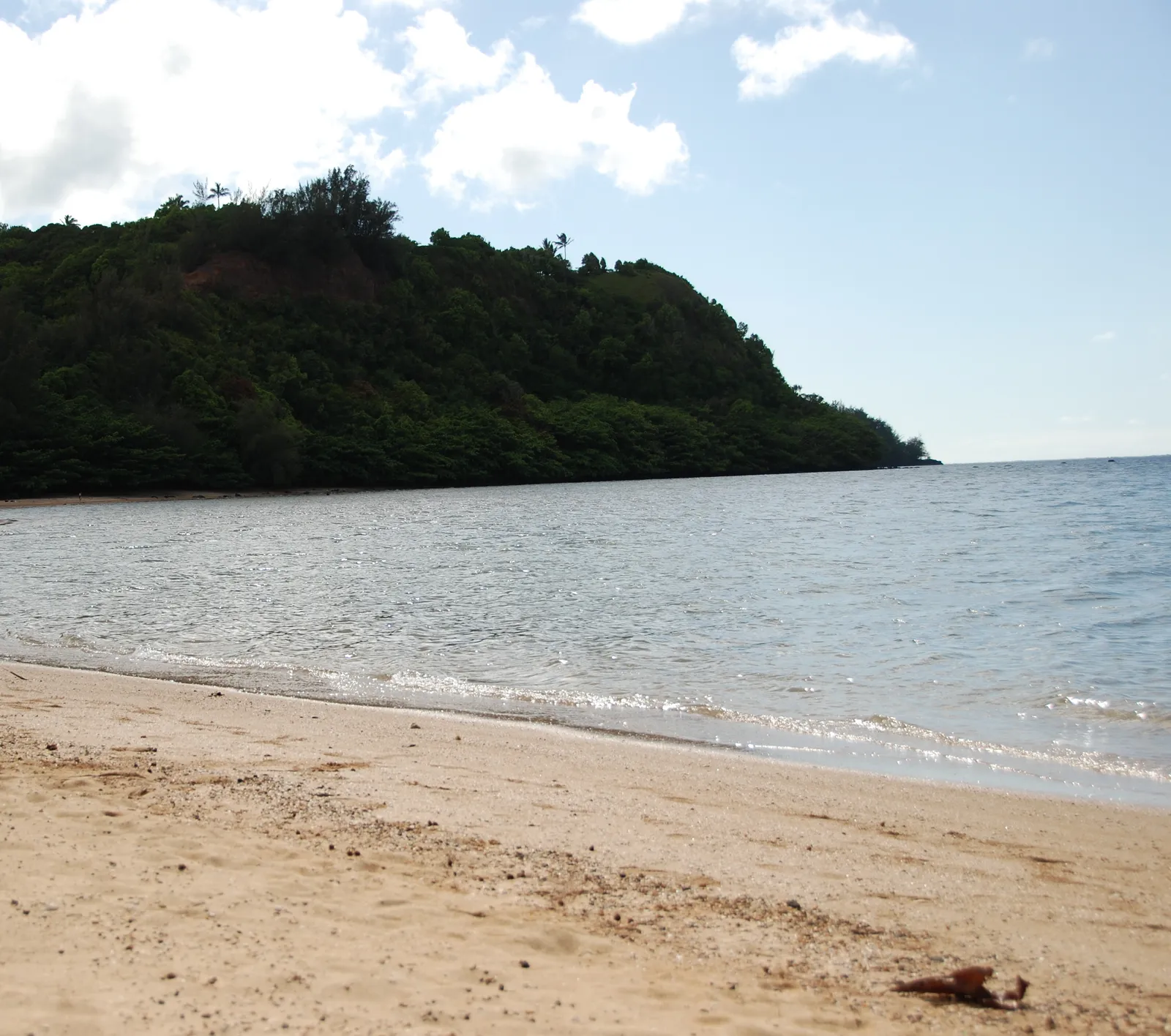 Anini Beach: Calm by Design (By RR4610, CC BY-SA 3.0)