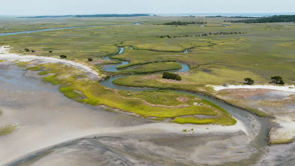 Zones Within Zones: How the Marsh Is Organized (Image Credits: Pexels)