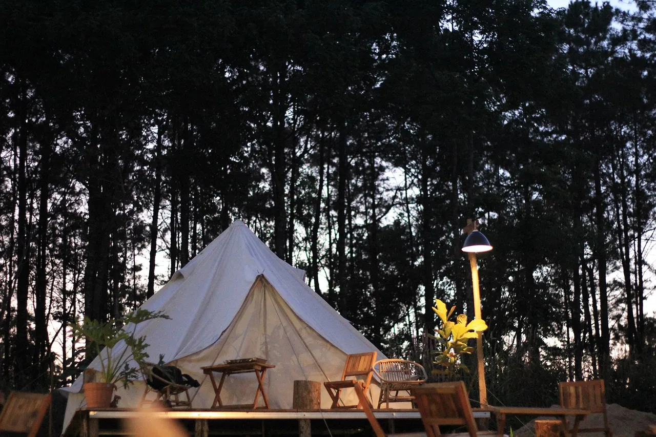 Glamping in the Forest: Where Comfort Meets the Wild (Image Credits: Pixabay)
