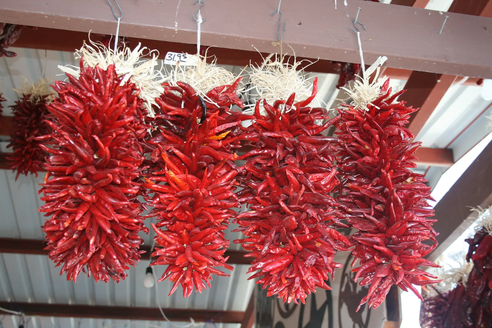 The Chile Harvest That Defines the Season (By Calsidyrose, CC BY 2.0)