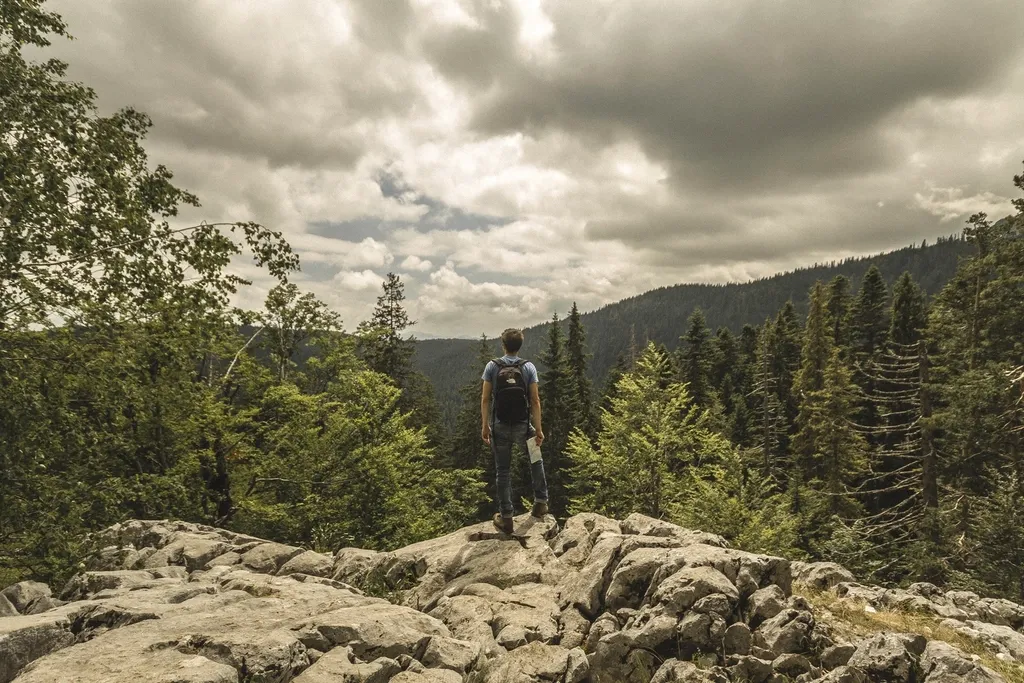 You Skip Overlooks Entirely and Prefer Being in the Landscape: The Immersive Thinker (Image Credits: Rawpixel)