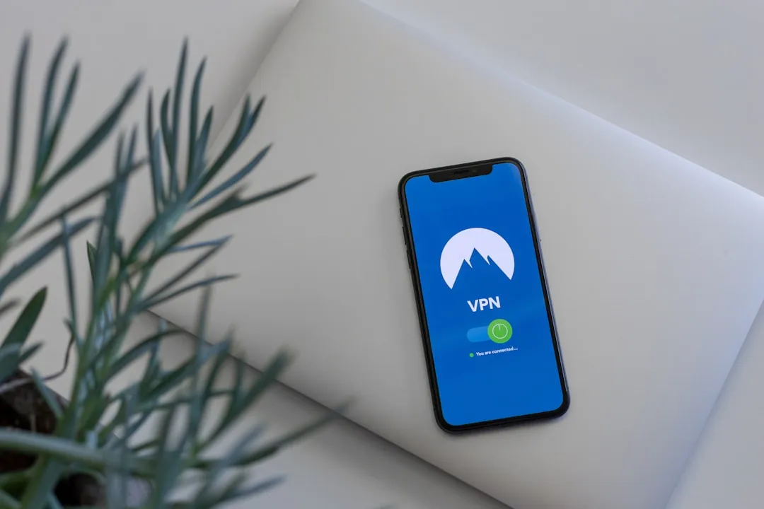 Use a VPN Without Exception on Public Networks (Image Credits: Unsplash)