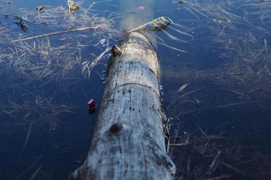 The Old Man of the Lake (Image Credits: Pexels)