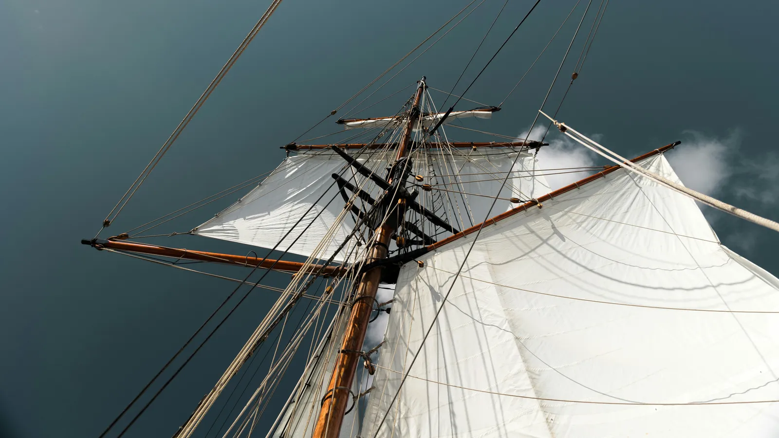 Rigging Lockdown: When the Fly System Goes Static (Image Credits: Unsplash)