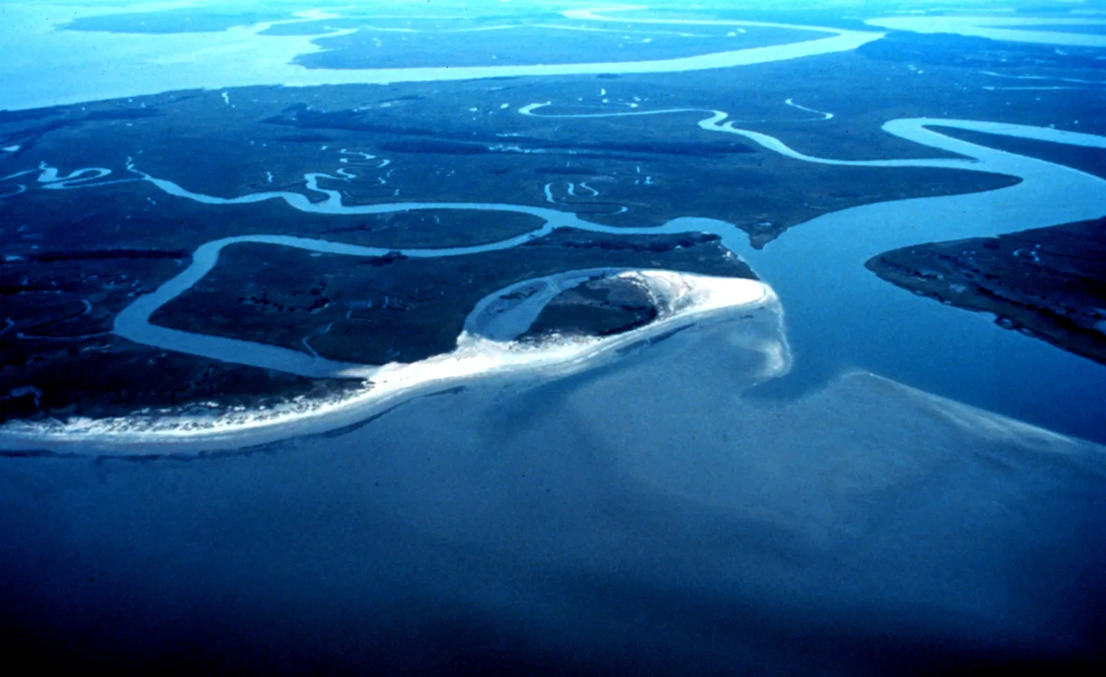 The ACE Basin: One of the Largest Undeveloped Estuaries on the East Coast (nerr0025, Public domain)