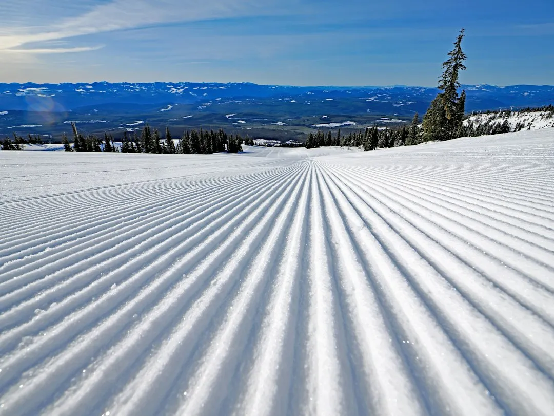 Why the First Run of the Day Is Completely Different (Image Credits: Unsplash)