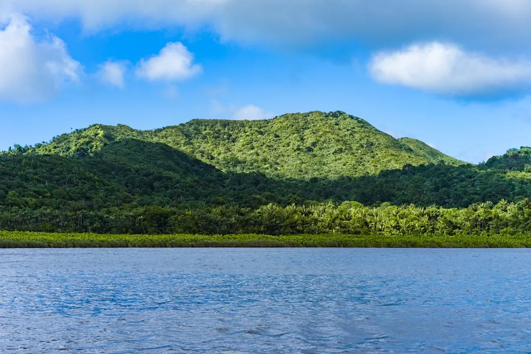 7. Grenada, Mississippi - The Most Affordable Lake Town in America (Image Credits: Unsplash)