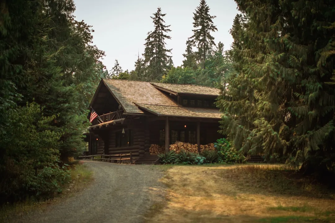Bringing It Home: The Modern Lodge Interior (Image Credits: Unsplash)