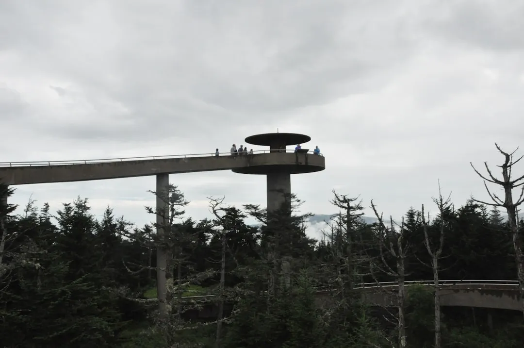 Anakeesta and the SkyBridge: Views That Shift with the Season (Image Credits: Unsplash)