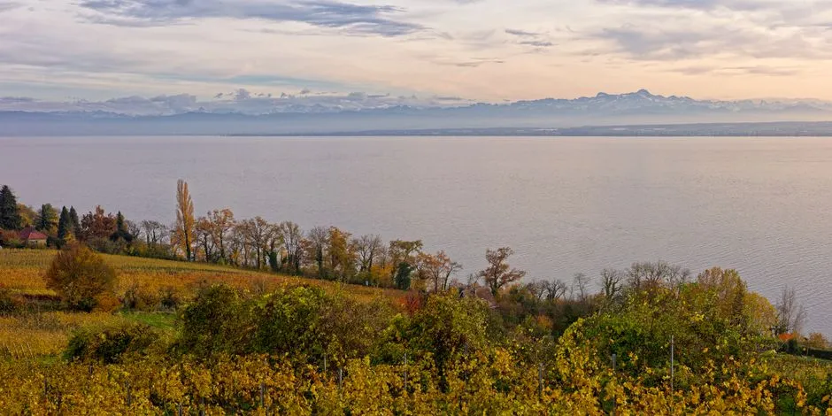 A Reunion Spot by Design (Image Credits: Pexels)