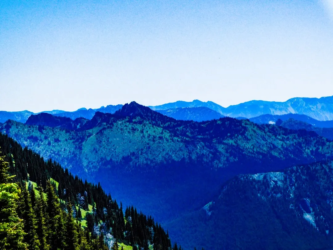 Where the Pass Actually Works (Image Credits: Unsplash)