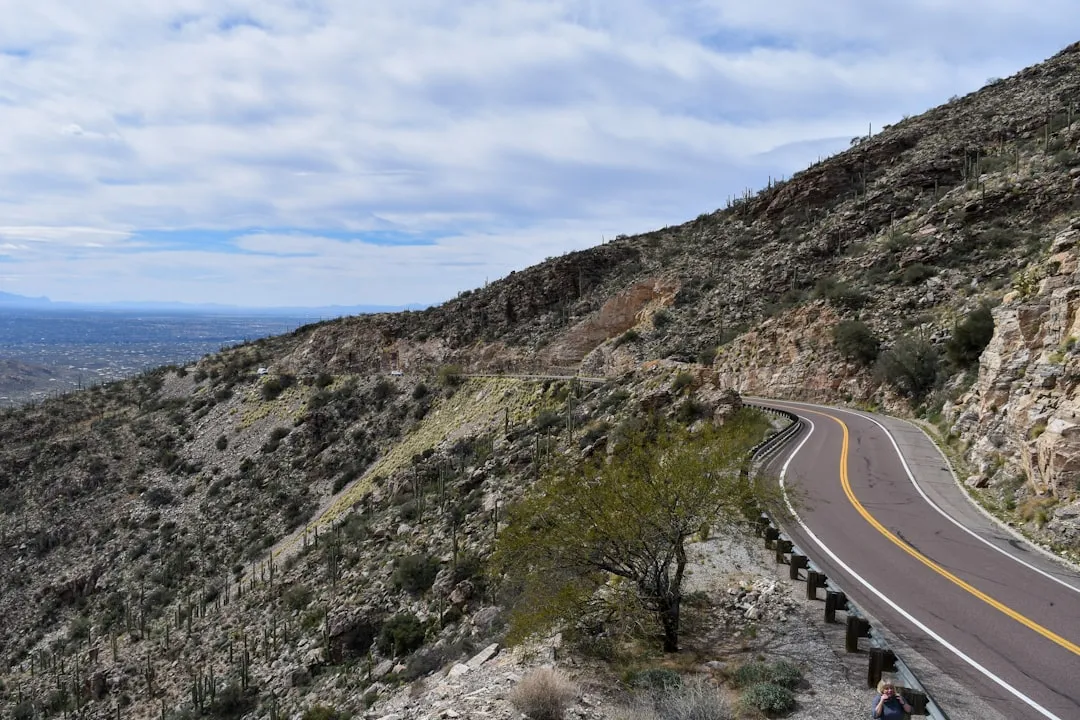 What Families Actually Do Once They're Up the Mountain (Image Credits: Unsplash)