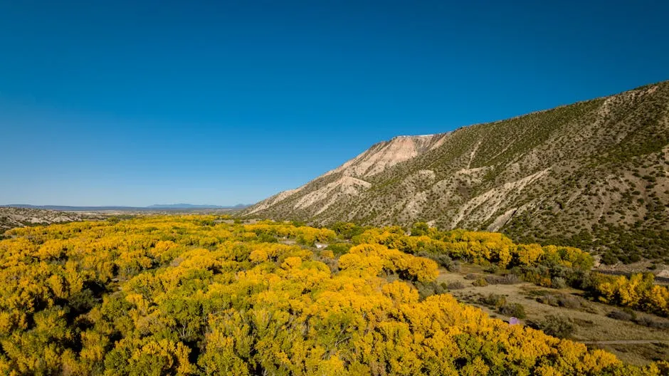 5. Taos Ski Valley Area: A Higher, Wilder Autumn Altitude (Image Credits: Pexels)