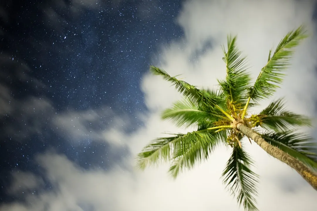 The Shore Knows Your Name (Image Credits: Unsplash)