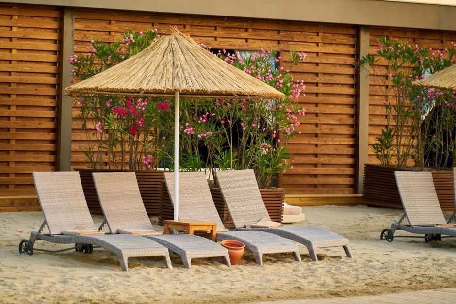 What Guests Actually Want: Allocation Systems (Image Credits: Pexels)