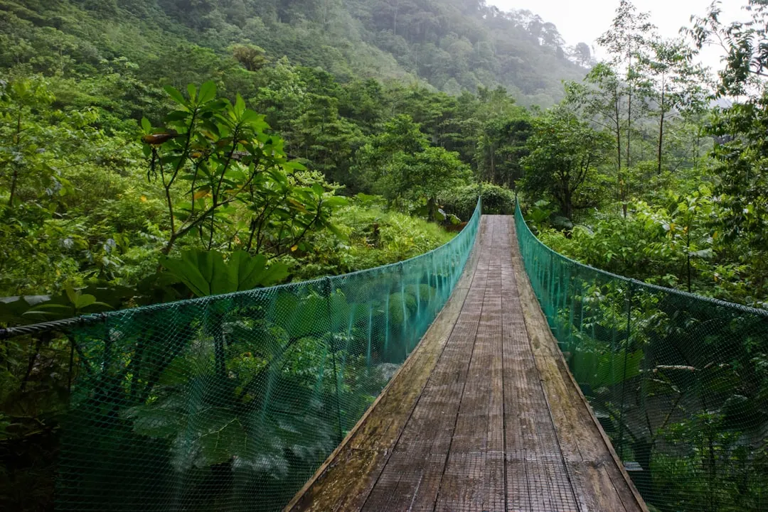 5. Costa Rica: The Green Season Is the Smart Season (Image Credits: Unsplash)