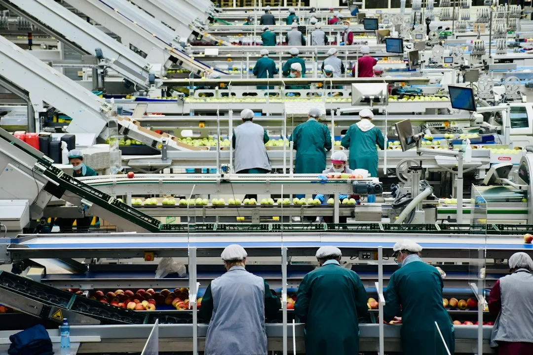 What AI and Technology Are Doing for Food Safety (Image Credits: Unsplash)
