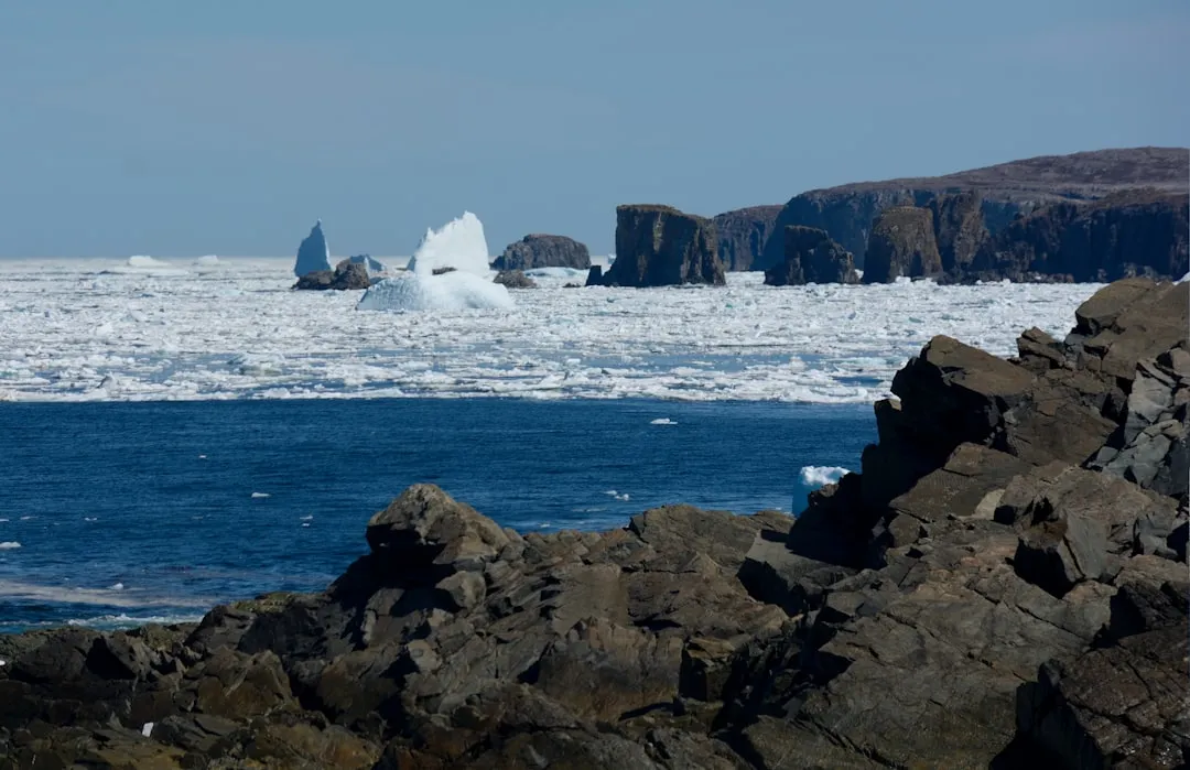 Icebergs, Whales, and Seabirds: A Rare Triple Encounter (Image Credits: Unsplash)