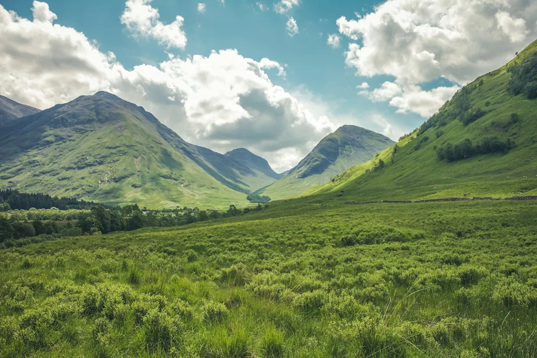 The Science Behind Why Doctors Are Now Prescribing Nature (Image Credits: Unsplash)