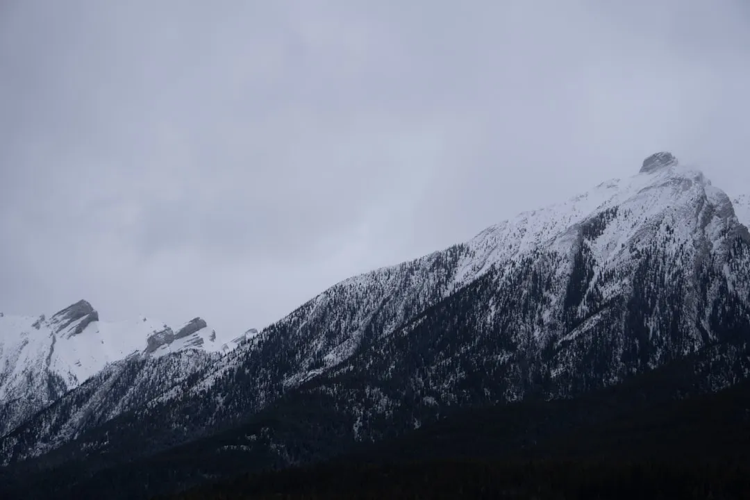 Company It Keeps Among Colorado's Snow Belt (Image Credits: Unsplash)