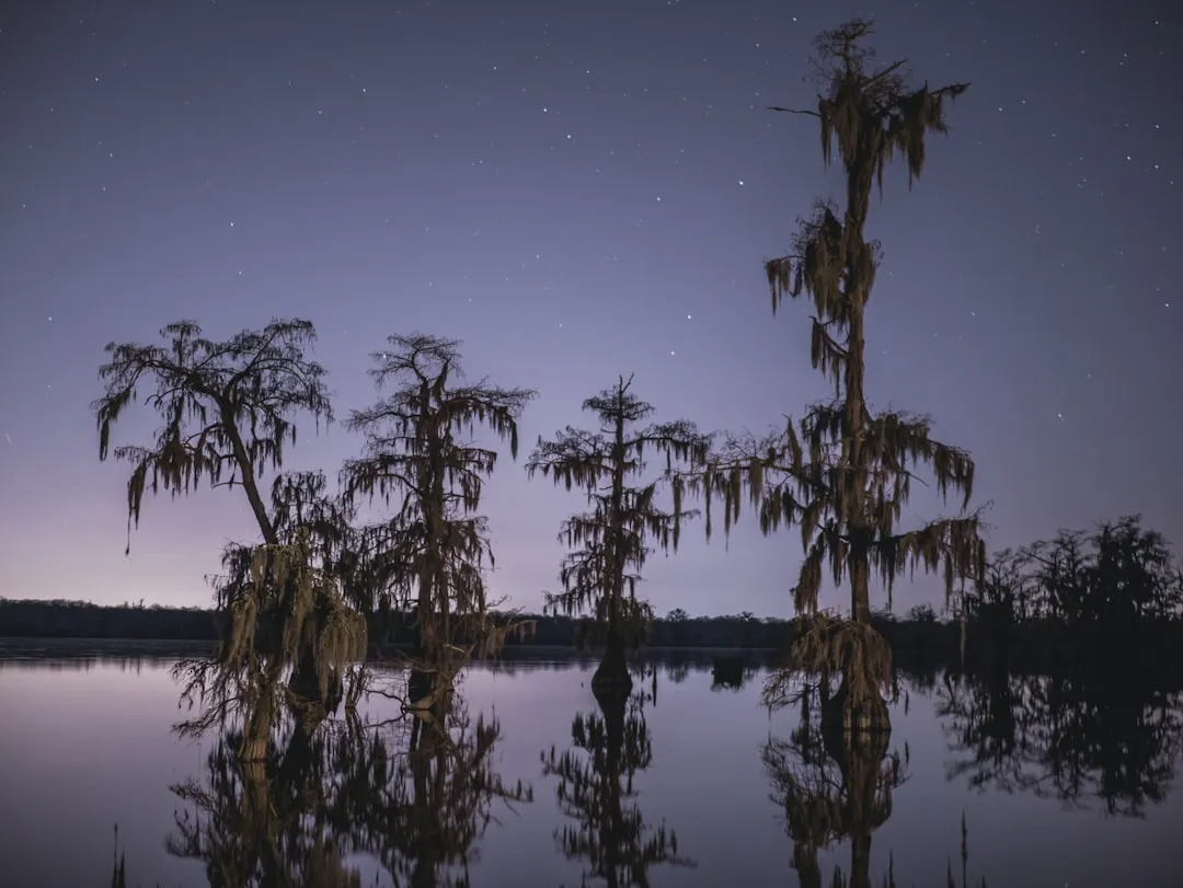 A Town Built on a Bayou and a Bridge (Image Credits: Unsplash)