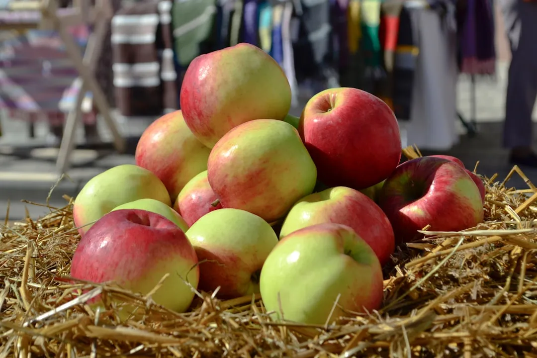 Pennsylvania Apple Country and Its Own Fall Institution (Image Credits: Unsplash)