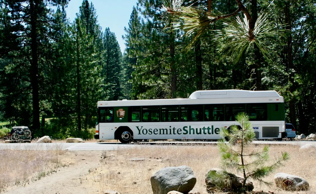 Yosemite National Park: Sensory Access and Handcycles (Image Credits: Unsplash)