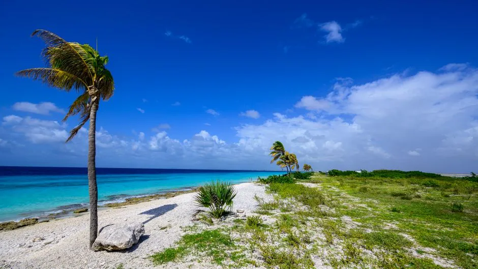 Bonaire: Where the Planet's Rules Feel Different (Image Credits: Pexels)