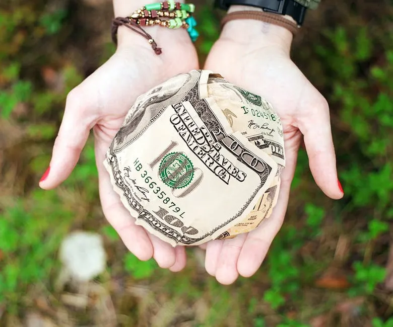 2024 Saw a Meaningful Pullback in Global Giving (Image Credits: Pexels)