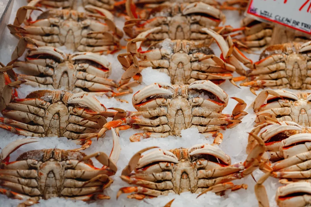The Seafood Is As Good As Anywhere in Maryland (Image Credits: Unsplash)