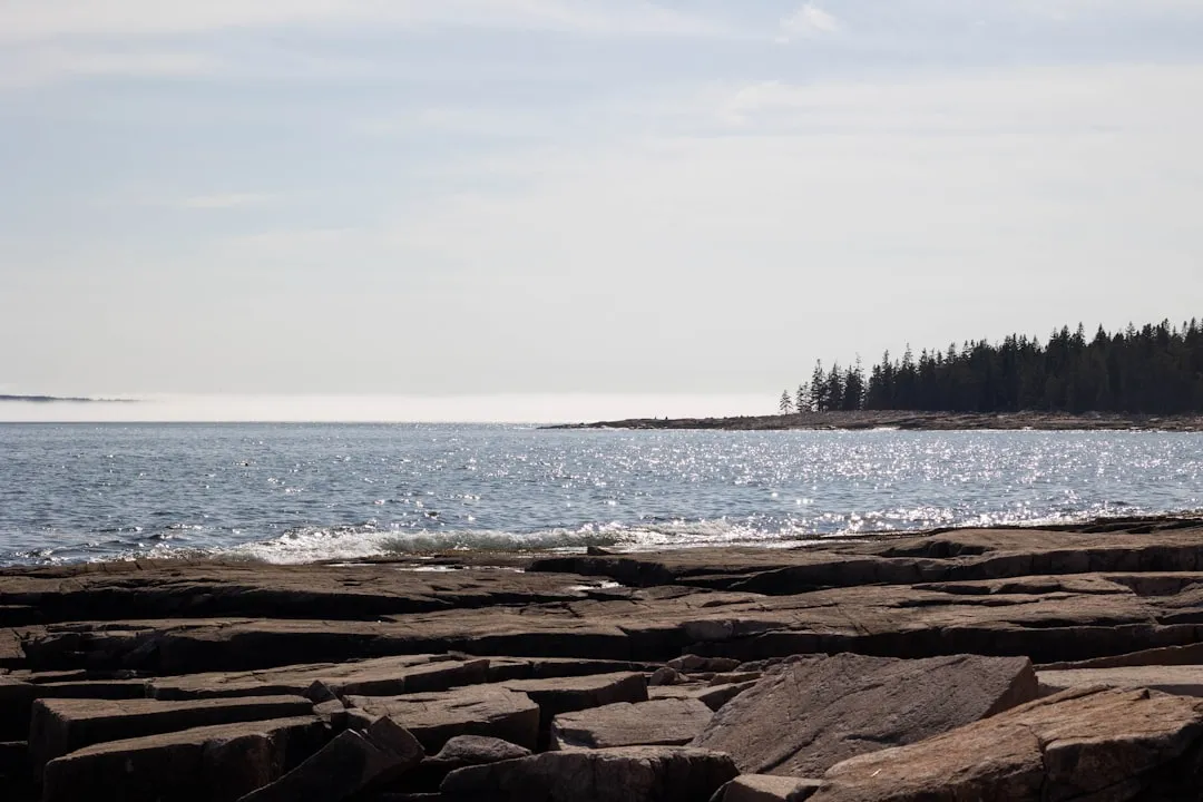 Acadia's Island Explorer: Free Buses, Spectacular Routes (Image Credits: Unsplash)