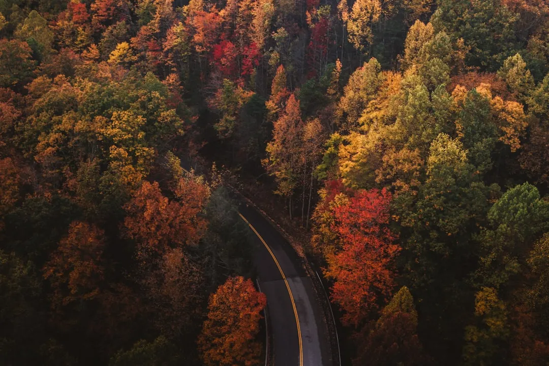 Conclusion: The Case for Going Later (Image Credits: Unsplash)