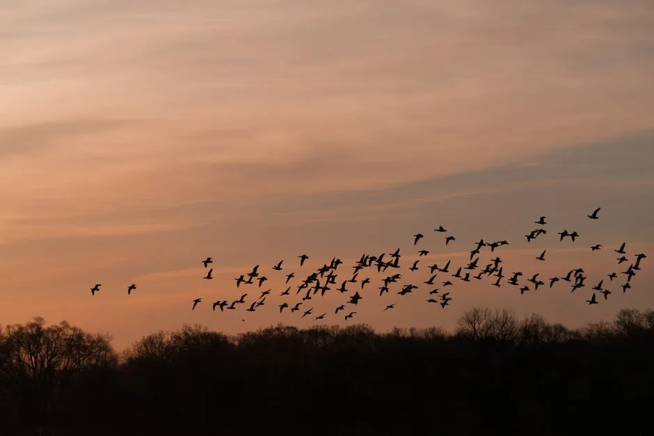 What the Land Itself Is Always Doing (Image Credits: Pexels)