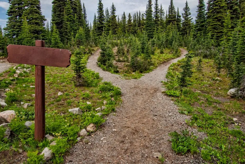 What the Leave No Trace Principle Actually Asks of You (Image Credits: Pexels)