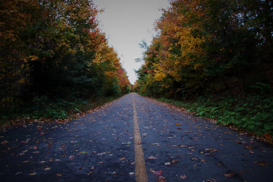 8. Taking the Scenic Route on Purpose (Image Credits: Stocksnap)