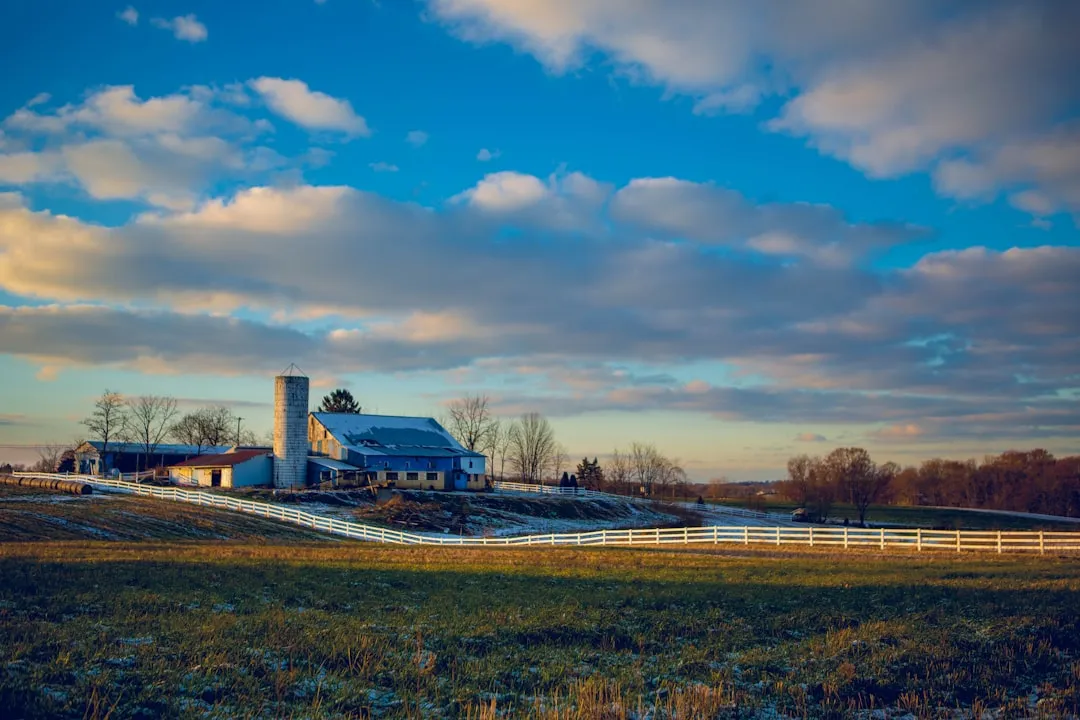 The Role of Government Support and Infrastructure (Image Credits: Unsplash)