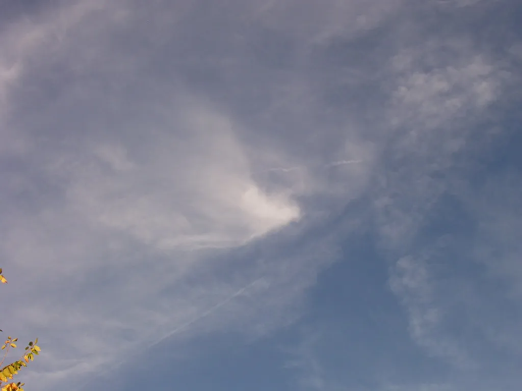 Why Some Trails Vanish Quickly and Others Linger (liberalmind1012, Flickr, CC BY 2.0)