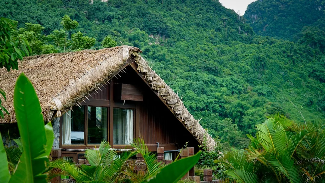 Sustainability and Ethics in the Honeymoon Decision (Image Credits: Unsplash)